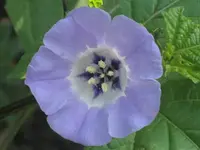 garten 09 010.webp
