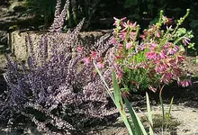 Erika mit Hessischem Mädchen.webp