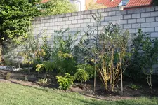 IMG_0961  1.webp