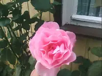 03.webp