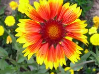 07.08.u08.08.09 023.webp