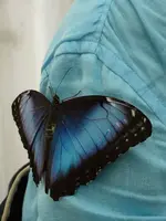 freund1kl.webp