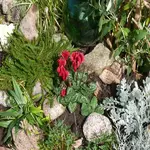 P1080994_600_600.webp
