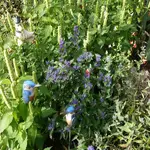 P1080990_600_600.webp