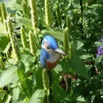 P1080988_600_600.webp