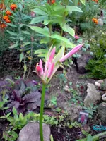 P290909_16.32.webp
