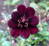 P290909_16.33.webp