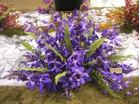 Orchideen DOC09 028.webp