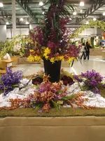 Orchideen DOC09 029.webp