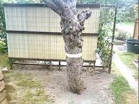 IMG022.webp