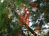 P1020037.webp
