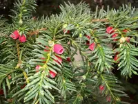 100_0404_600_450.webp