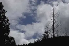 September 2009 490 v.webp