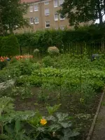 1 001 [640x480].webp