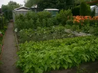 1 003 [640x480].webp