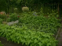 1 004 [640x480].webp