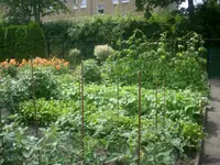 1 012 [640x480].webp