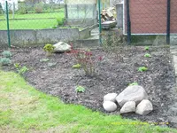 Apr 09, Rosenbeet.webp