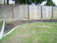 Apr 09, Staudenbeet.webp