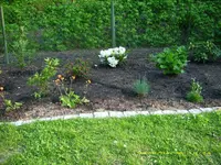 Ende April, gem. Hecke.webp