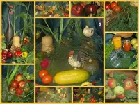 Herbst Digi v.webp