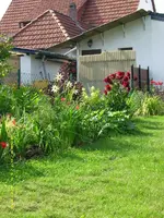 Juli, rechte Seite.webp