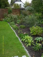Beet hinten 2.webp