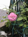 DSC00011.JPG
