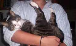 100_0783.webp