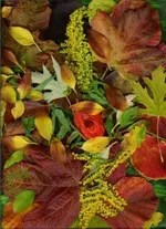 2008-mein Gartenboden.webp