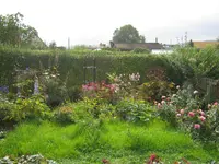 006.webp