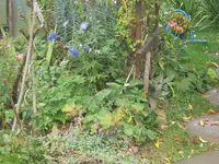 025.webp