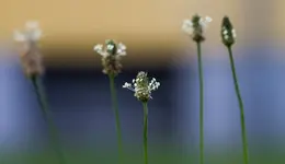 _MG_8756.webp