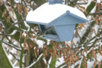 IMG_3875.jpg