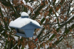 IMG_3894.jpg