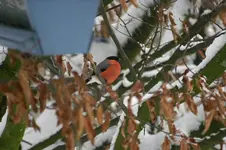 IMG_3897.jpg