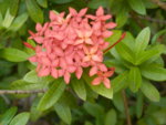 PC140004.JPG