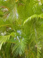 PC140005.JPG
