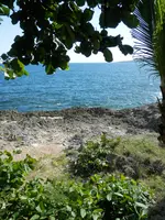 PC170018.webp