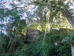 PC170041.JPG