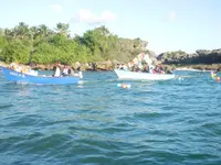 PC170055.webp