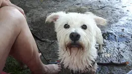 20180727_193053.webp