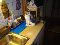 IMGP7205.webp