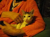 IMGP7200.webp
