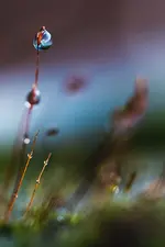 0M3A3605.webp