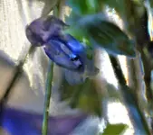 image006.webp