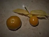 P7207627.webp P7207627.webp