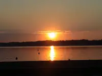 013.webp