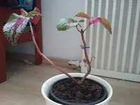 20181230_144031.webp