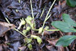 DSC07228.JPG